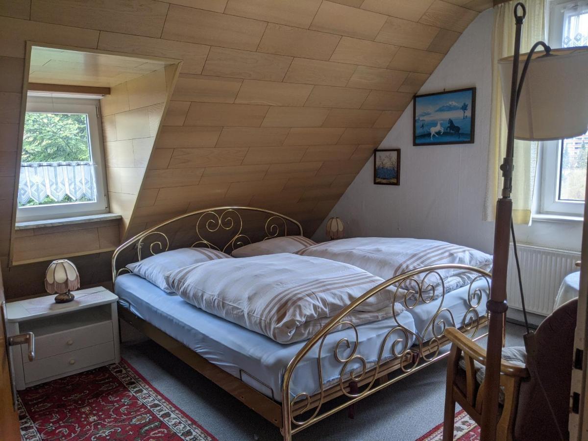 Pension Haus Martha Бад-Ґрунд Екстер'єр фото